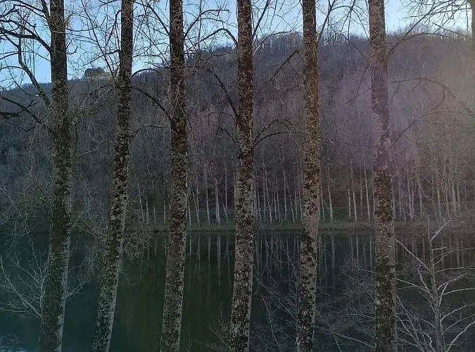 Le Castellou ベッド・アンド・ブレックファスト コンク