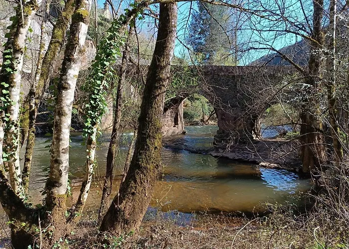 Le Castellou * コンク